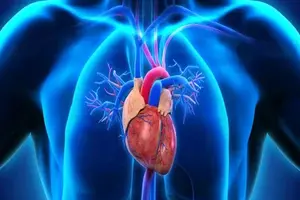 Cardiology department at SAI Hospital - comprehensive heart care and cardiac treatment in Rajahmundry