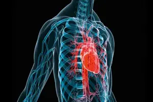 Cardiothoracic surgery department at SAI Hospital - specialized heart and chest surgical procedures