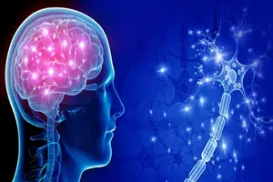 Neurology department at SAI Hospital - brain and nervous system specialist care in Rajahmundry