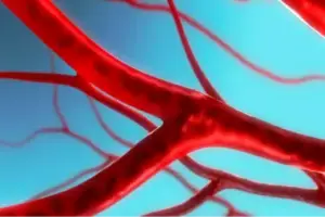 Vascular surgery department at SAI Hospital - blood vessel and circulatory system treatment